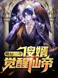 敖婿9