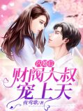 闪婚后财阀大叔宠上天