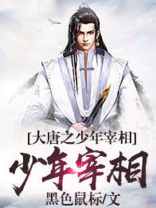 大唐之少年宰相小说免费观看