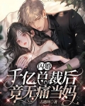 千亿闪婚总裁超级能干