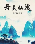 丹灵仙途全文免费阅读