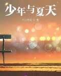 少年与夏天作文