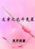 文穿之宅斗克星