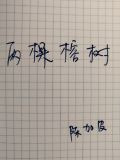 两棵榕树