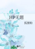 HP无题